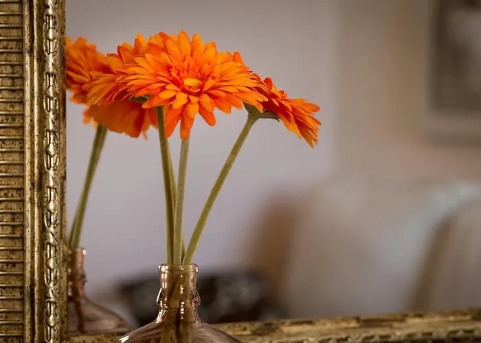 Shambala Sea View Ρόβινι